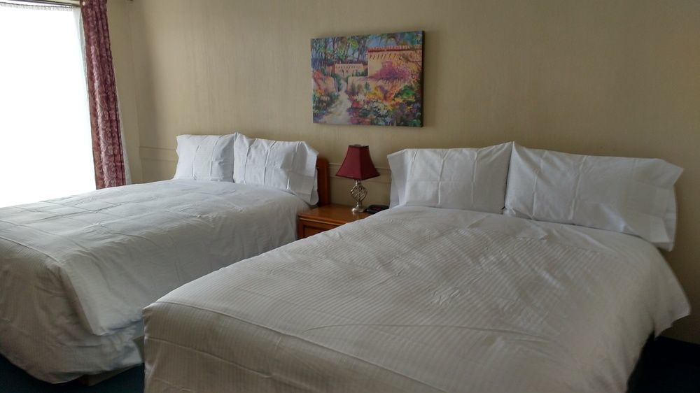 The City Motel フレデリクトン エクステリア 写真