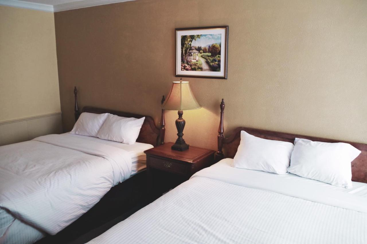 The City Motel フレデリクトン エクステリア 写真