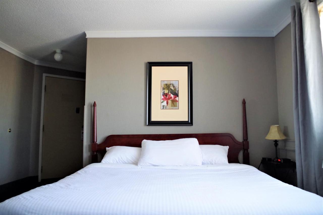 The City Motel フレデリクトン エクステリア 写真
